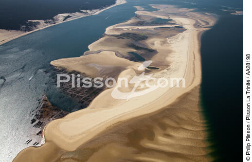 Arguin Sand Bank - © Philip Plisson / Plisson La Trinité / AA28198 - Photo Galleries - Shellfish farming