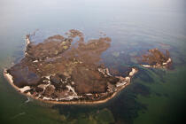 L'île aux oiseaux © Philip Plisson / Plisson La Trinité / AA28203 - Nos reportages photos - Arcachon [Bassin d']