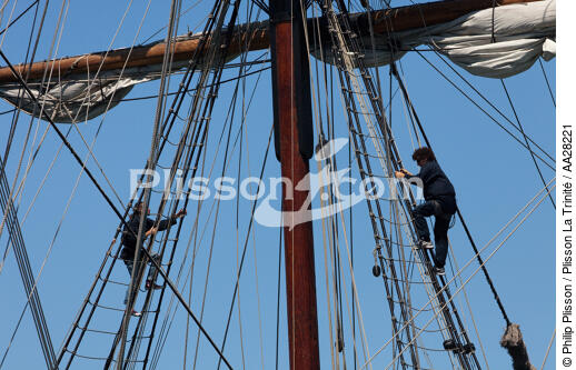 L'Etoile du Roy pendant La Semaine du Golfe 2011 - © Philip Plisson / Plisson La Trinité / AA28221 - Nos reportages photos - Trois-mâts barque frégate