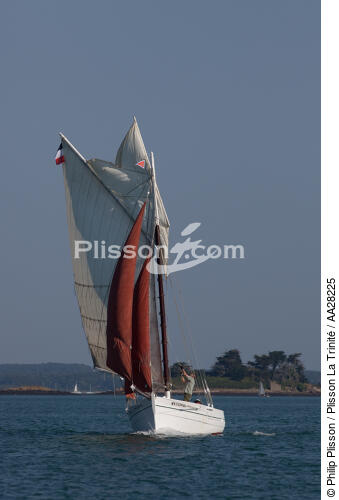 La Semaine du Golfe 2011 - © Philip Plisson / Plisson La Trinité / AA28225 - Nos reportages photos - Morbihan [Golfe du]