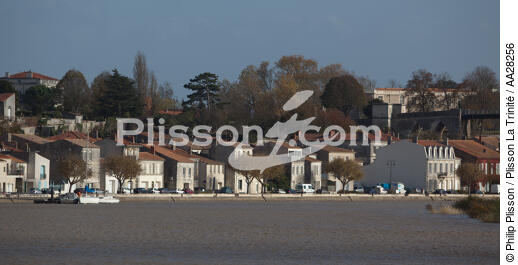 Tonnay-Charente - © Philip Plisson / Plisson La Trinité / AA28256 - Photo Galleries - River