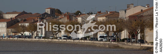 Tonnay-Charente - © Philip Plisson / Plisson La Trinité / AA28260 - Photo Galleries - Tonnay-Charente