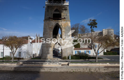 Tonnay-Charente - © Philip Plisson / Plisson La Trinité / AA28264 - Nos reportages photos - Ville [17]