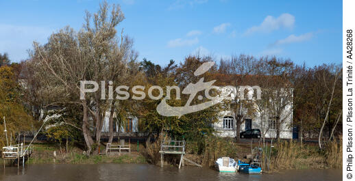 Tonnay-Charente - © Philip Plisson / Plisson La Trinité / AA28268 - Photo Galleries - River [17]