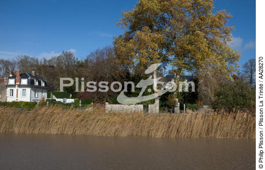 Tonnay-Charente - © Philip Plisson / Plisson La Trinité / AA28270 - Photo Galleries - River [17]