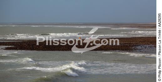 La-Tranche-sur-mer - © Philip Plisson / Plisson La Trinité / AA28295 - Nos reportages photos - Grande marée