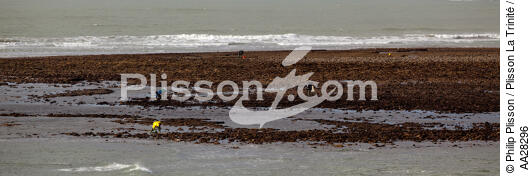 La-Tranche-sur-mer - © Philip Plisson / Plisson La Trinité / AA28296 - Photo Galleries - Big tides