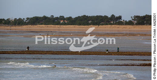 La-Tranche-sur-mer - © Philip Plisson / Plisson La Trinité / AA28301 - Photo Galleries - Big tides