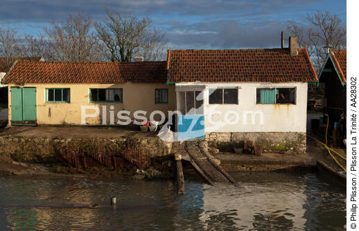 Le Chenal de Marennes - © Philip Plisson / Plisson La Trinité / AA28302 - Photo Galleries - Poitou-Charentes