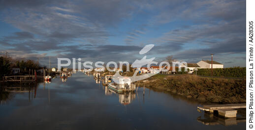 Le Chenal de Marennes - © Philip Plisson / Plisson La Trinité / AA28305 - Photo Galleries - Shellfish farming