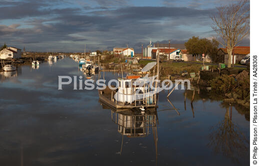 Le Chenal de Marennes - © Philip Plisson / Plisson La Trinité / AA28308 - Nos reportages photos - Ville [17]