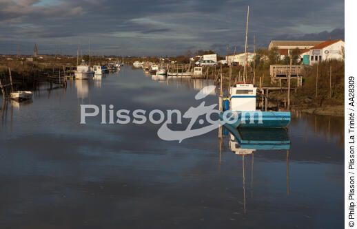 Le Chenal de Marennes - © Philip Plisson / Plisson La Trinité / AA28309 - Photo Galleries - Shellfish farming