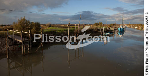 Le Chenal de Marennes - © Philip Plisson / Plisson La Trinité / AA28313 - Photo Galleries - Oyster farming