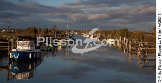 Le Chenal de Marennes - © Philip Plisson / Plisson La Trinité / AA28315 - Photo Galleries - Oyster farming