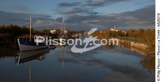 Le Chenal de Marennes - © Philip Plisson / Plisson La Trinité / AA28318 - Nos reportages photos - Reflet