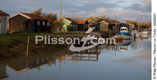 Le Chenal de Marennes - © Philip Plisson / Plisson La Trinité / AA28321 - Nos reportages photos - Aquaculture