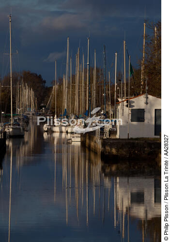 Le Chenal de Marennes - © Philip Plisson / Plisson La Trinité / AA28327 - Nos reportages photos - Reflet