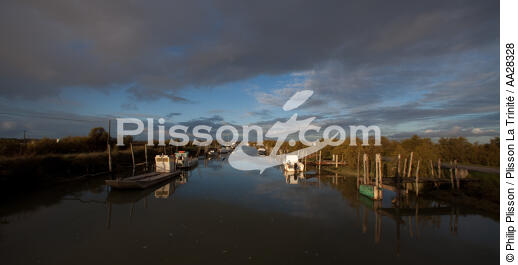 Le Chenal de Marennes - © Philip Plisson / Plisson La Trinité / AA28328 - Photo Galleries - Aquaculture