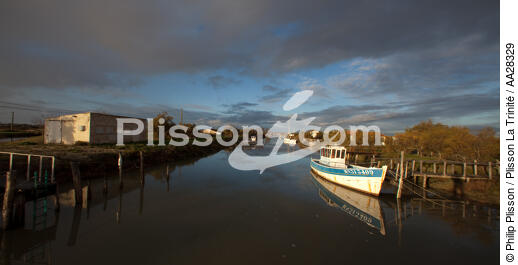 Le Chenal de Marennes - © Philip Plisson / Plisson La Trinité / AA28329 - Photo Galleries - Shellfish farming