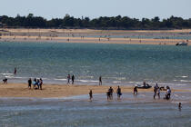 Le Bûcheron sand banc © Philip Plisson / Plisson La Trinité / AA28341 - Photo Galleries - Sport and Leisure