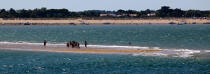 Le Bûcheron sand banc © Philip Plisson / Plisson La Trinité / AA28343 - Photo Galleries - Sport and Leisure