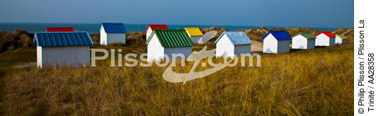 Cabanes de Gouville-sur-mer - © Philip Plisson / Plisson La Trinité / AA28358 - Nos reportages photos - Dune