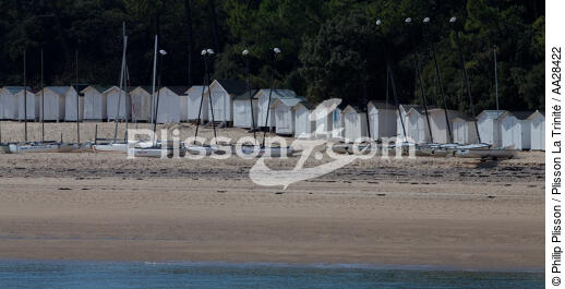 Noirmoutier,Le bois de la Chaise - © Philip Plisson / Plisson La Trinité / AA28422 - Photo Galleries - Beach cabin