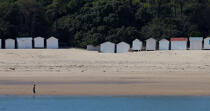 Noirmoutier,Le bois de la Chaise © Philip Plisson / Plisson La Trinité / AA28426 - Photo Galleries - Beach cabin