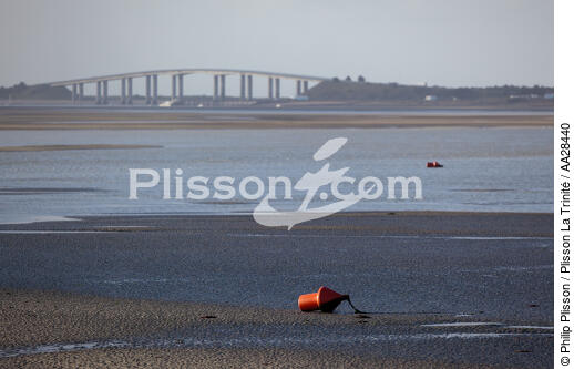 Noirmoutier bridge - © Philip Plisson / Plisson La Trinité / AA28440 - Photo Galleries - Pays de Loire