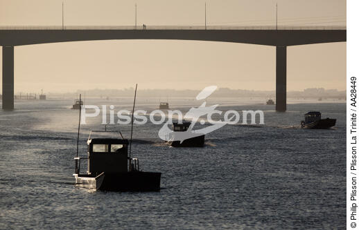 Oléron bridge - © Philip Plisson / Plisson La Trinité / AA28449 - Photo Galleries - Oyster farming