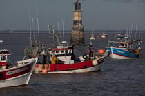 Shellfishing on Oléron . © Philip Plisson / Plisson La Trinité / AA28450 - Photo Galleries - Fishing vessel
