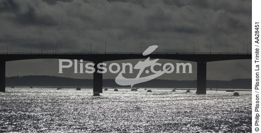 Oléron bridge - © Philip Plisson / Plisson La Trinité / AA28451 - Photo Galleries - Lighter used by oyster farmers