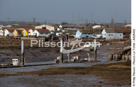Oléron island . - © Philip Plisson / Plisson La Trinité / AA28452 - Photo Galleries - Oyster farming