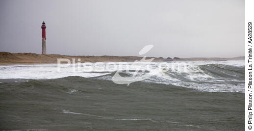 La Coubre beach - © Philip Plisson / Plisson La Trinité / AA28529 - Photo Galleries - Stormy sky