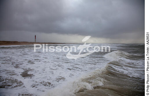La Coubre beach - © Philip Plisson / Plisson La Trinité / AA28531 - Photo Galleries - Grey sky