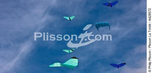 International Meetings of kites in Berck sur Mer [AT] - © Philip Plisson / Plisson La Trinité / AA28572 - Photo Galleries - Town [62]