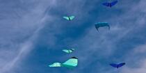 International Meetings of kites in Berck sur Mer [AT] © Philip Plisson / Plisson La Trinité / AA28572 - Photo Galleries - Nord-Pas-de-Calais