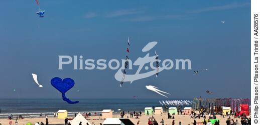 International Meetings of kites in Berck sur Mer [AT] - © Philip Plisson / Plisson La Trinité / AA28576 - Photo Galleries - Berck
