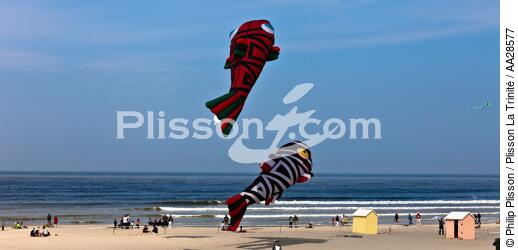 International Meetings of kites in Berck sur Mer [AT] - © Philip Plisson / Plisson La Trinité / AA28577 - Photo Galleries - Town [62]