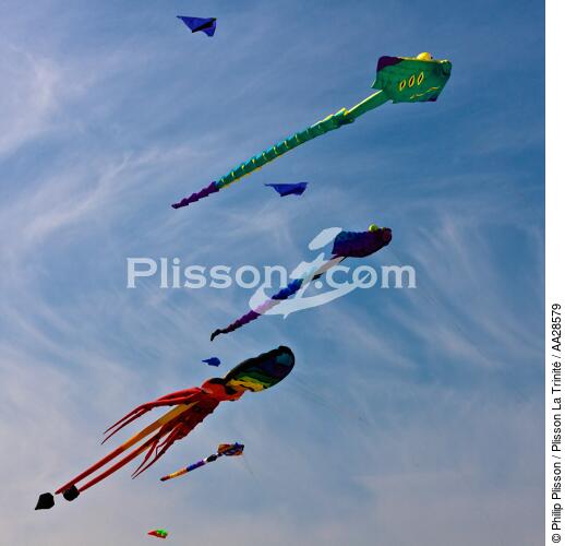 International Meetings of kites in Berck sur Mer [AT] - © Philip Plisson / Plisson La Trinité / AA28579 - Photo Galleries - International Meeting of Kite in Berck-sur-Mer.