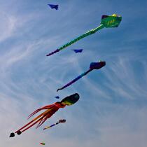 International Meetings of kites in Berck sur Mer [AT] © Philip Plisson / Plisson La Trinité / AA28579 - Photo Galleries - Nord-Pas-de-Calais