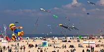 International Meetings of kites in Berck sur Mer [AT] © Philip Plisson / Plisson La Trinité / AA28582 - Photo Galleries - Non-nautical sports
