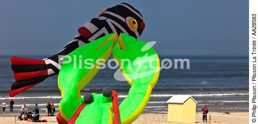 International Meetings of kites in Berck sur Mer [AT] - © Philip Plisson / Plisson La Trinité / AA28583 - Photo Galleries - Town [62]