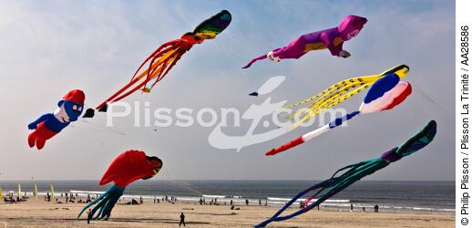 International Meetings of kites in Berck sur Mer [AT] - © Philip Plisson / Plisson La Trinité / AA28586 - Photo Galleries - Nord-Pas-de-Calais