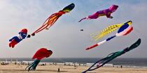 International Meetings of kites in Berck sur Mer [AT] © Philip Plisson / Plisson La Trinité / AA28586 - Photo Galleries - Town [62]