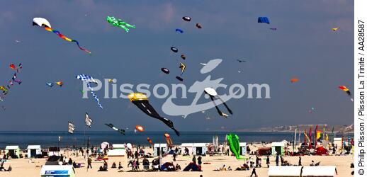 International Meetings of kites in Berck sur Mer [AT] - © Philip Plisson / Plisson La Trinité / AA28587 - Photo Galleries - Non-nautical sports