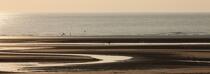 Berck sur Mer © Philip Plisson / Plisson La Trinité / AA28602 - Photo Galleries - Pas de Calais