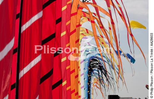 Rencontres Internationales de cerfs-volants à Berck sur Mer - © Philip Plisson / Plisson La Trinité / AA28603 - Nos reportages photos - Sport et loisir