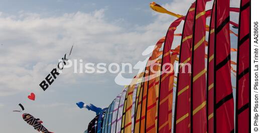 International Meetings of kites in Berck sur Mer [AT] - © Philip Plisson / Plisson La Trinité / AA28606 - Photo Galleries - Kite