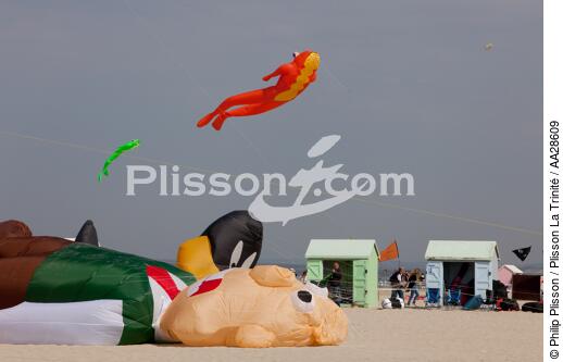 International Meetings of kites in Berck sur Mer [AT] - © Philip Plisson / Plisson La Trinité / AA28609 - Photo Galleries - Sport and Leisure